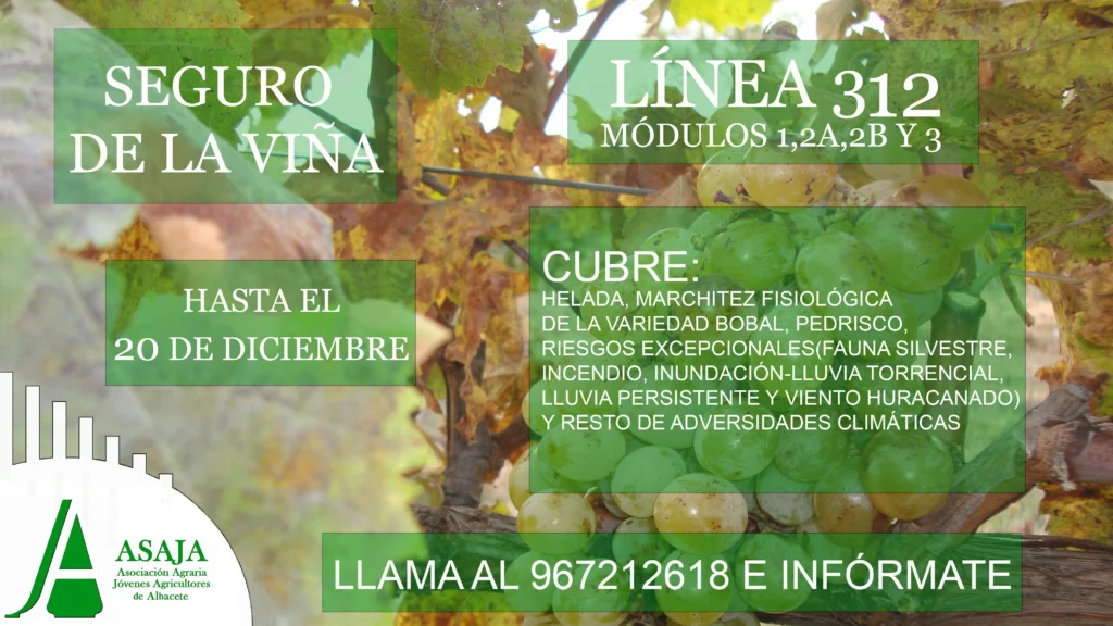 F.-CUADRO SEGURO VIÑA DICIEMBRE