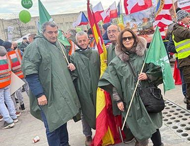 MANIFESTACIÓN EN BRUSELAS