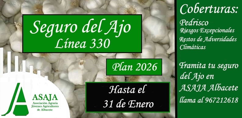 seguro del ajo