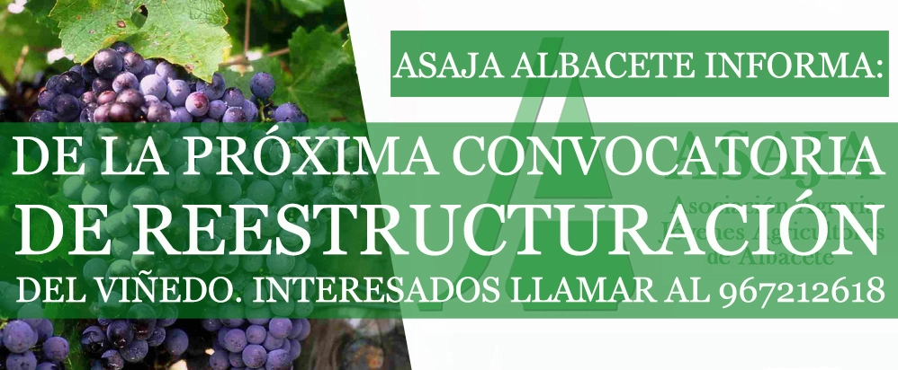 REESTRUCTURACIÓN DEL VIÑEDO