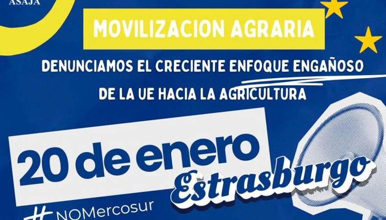 manifestación estrasburgo