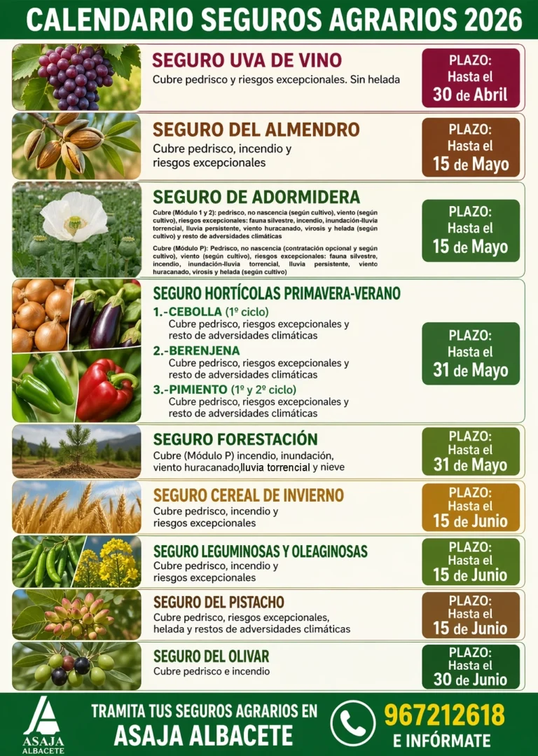 SEGUROS