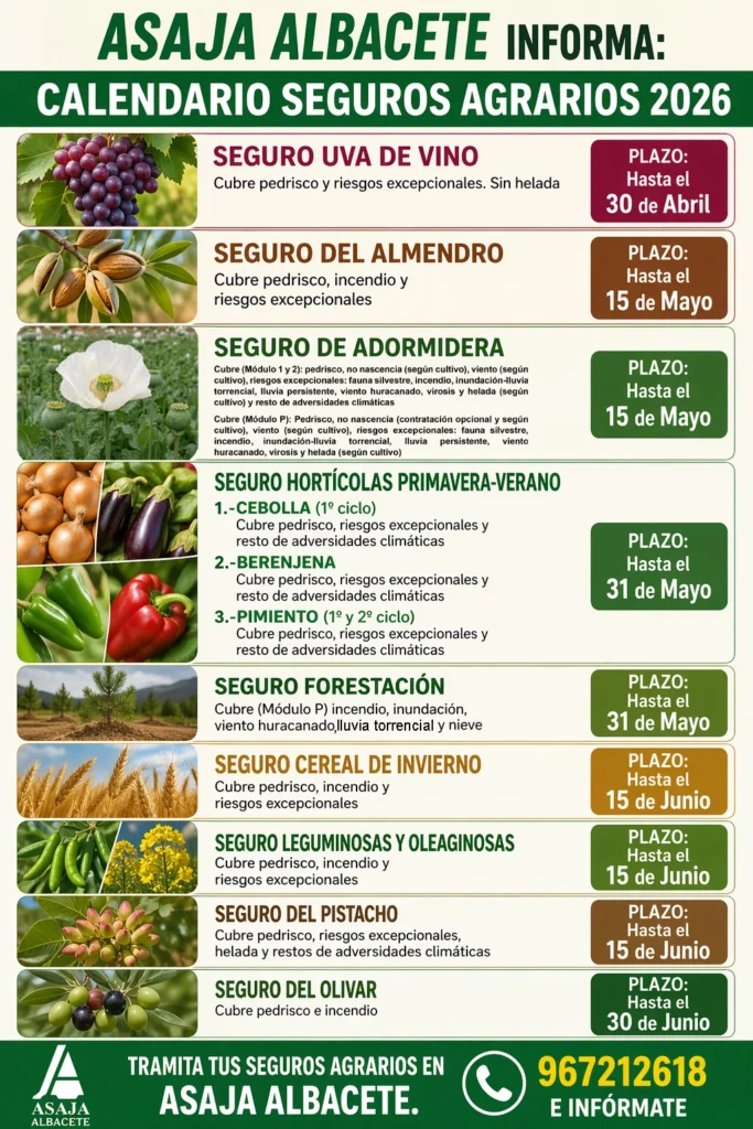 CARTEL SEGUROS