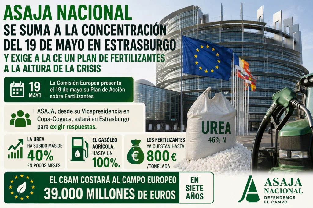 19 MAYO ESTRASBURGO