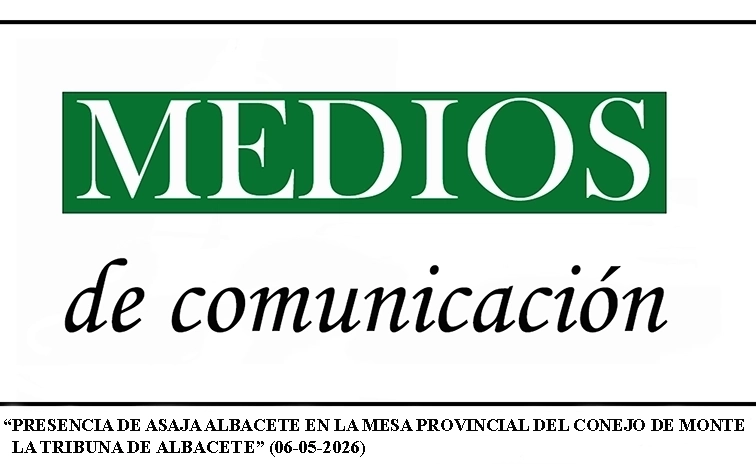 CUADRO MEDIOS