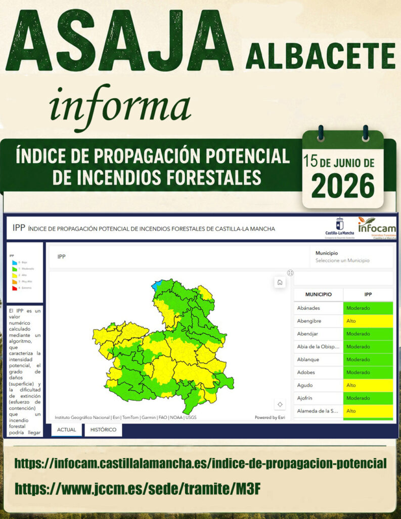 IPP 15J