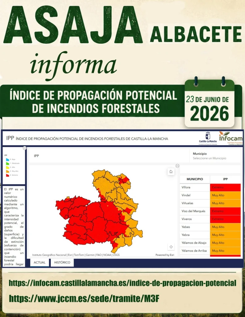 INCENDIOS