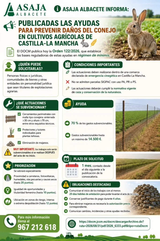 CARTEL CONEJOS